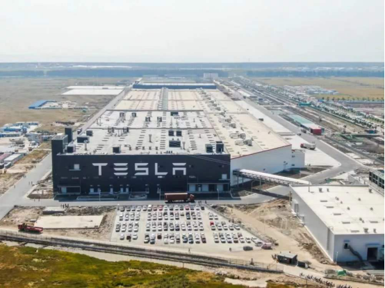 特斯拉的19年 我在中国大丰收 你们要加油哦 手机凤凰网