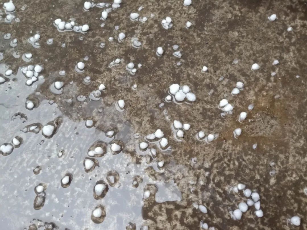 冰雹!雷雨!大风!又要杀到这些地方!贵州人,顶住!