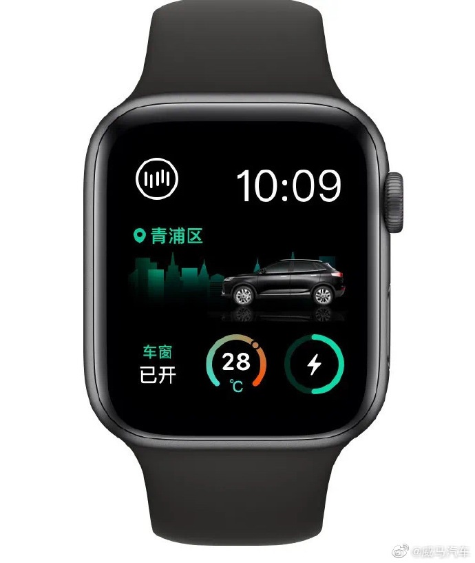 威马汽车：与苹果合作推出Apple Watch Series 6专属表盘__凤凰网