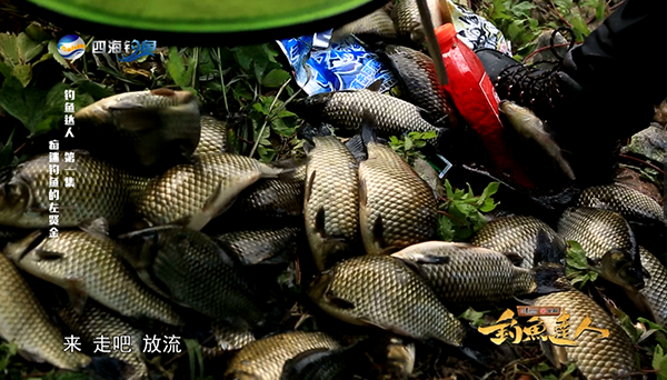 四海钓鱼频道《钓鱼达人》节目,今晚七点十五分,首播等你来!