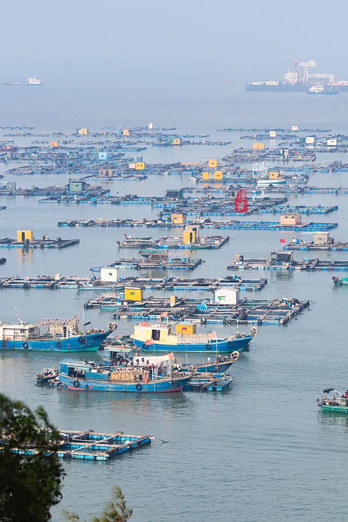 阳江闸坡渔港码头海鲜图片