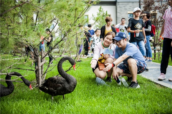 |168万人观看！华中小镇亮相国际绿色建筑与建筑节能大会