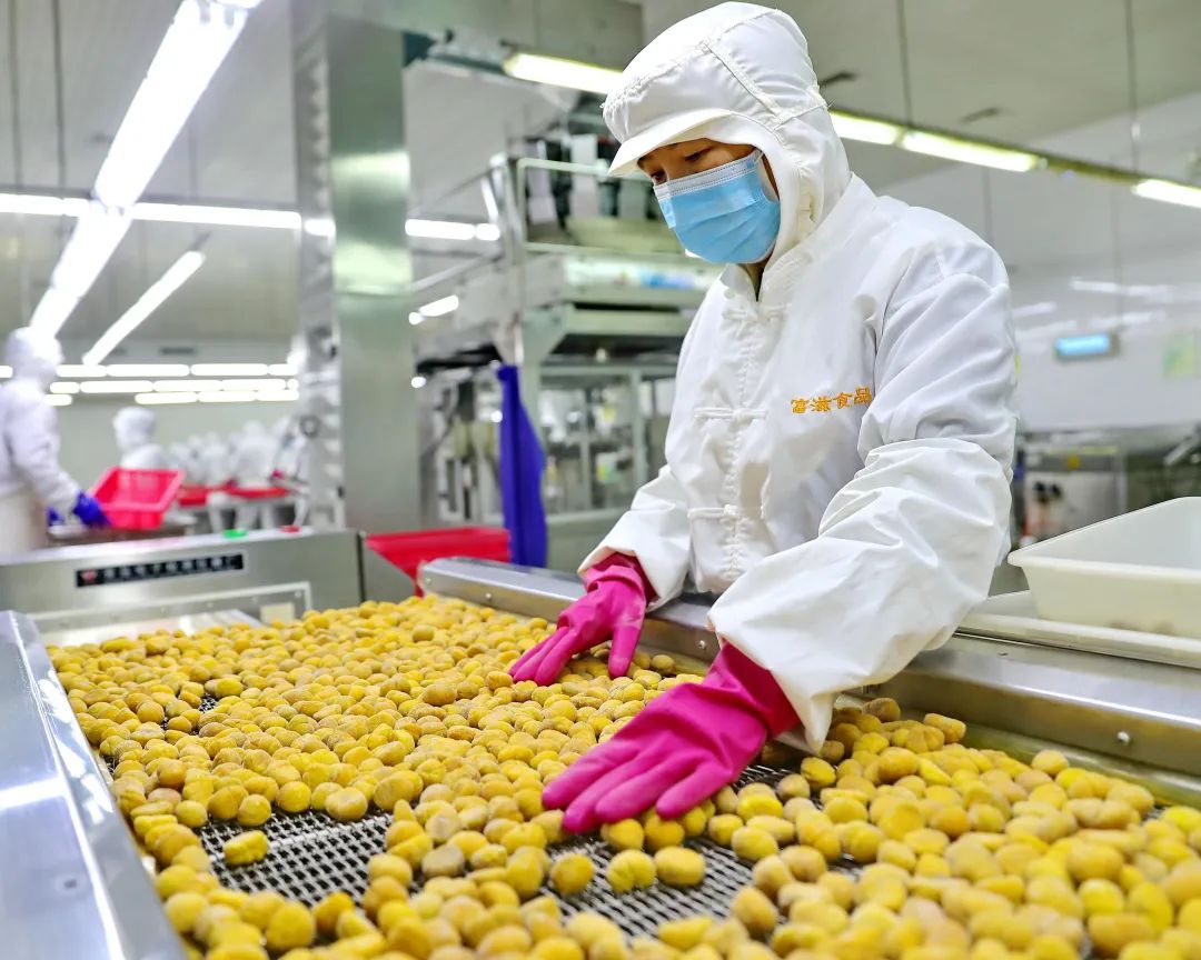 08 多家企业复工复产 3月2日,秦皇岛富滋食品公司板栗加工厂生产车间