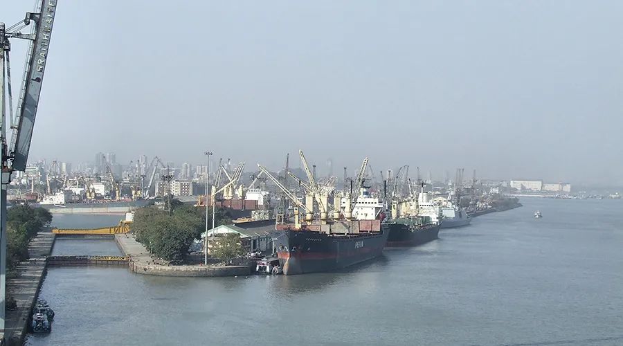 为了解决肺炎这个麻烦,印度政府惹出了更大的麻烦