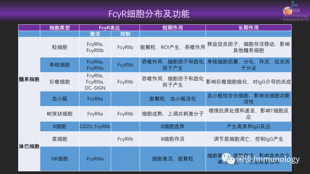 IgG Fc段糖基化——FcγR选择--功能多样化__凤凰网