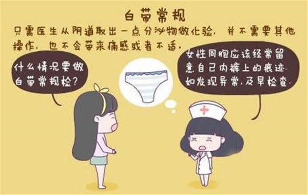 成都供卵三代试管（爱宝来解读试管婴儿前白带常规检查的相关知识）