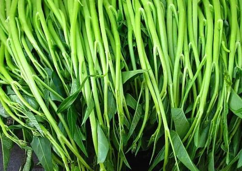 空心菜杆子和叶子分开吃这件事,你们是什么时候知道的?