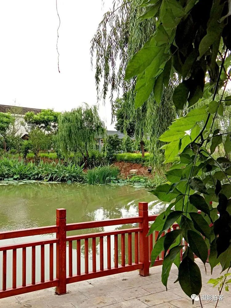 走进溧阳“网红村”塘马村__凤凰网