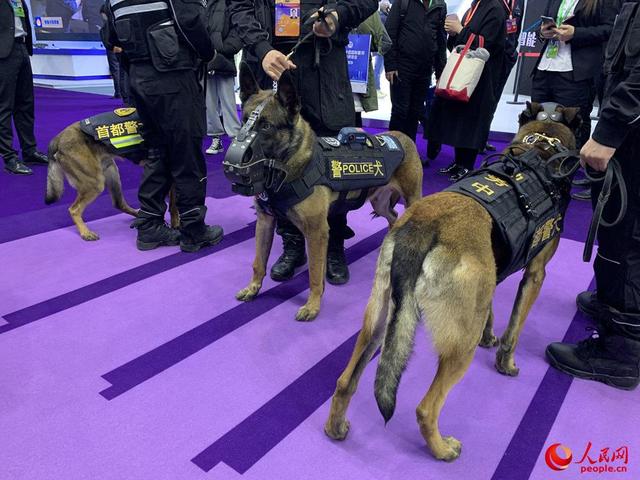 "机器狗"已经服役,军犬依然无法取代,为狗狗们设计数字化装备