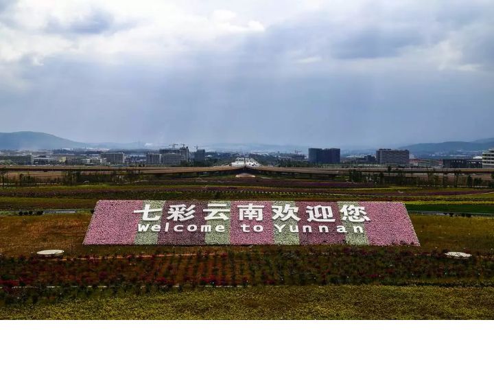 惊惶与埋怨便会一扫而空"七彩云南欢迎你"看见不远处绚烂的当你踏出