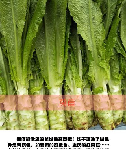 万万没想到,最喜欢的油麦菜莴苣,生菜?其实是"兄弟