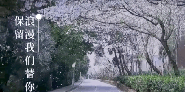 日本的喉镜有哪些“中国国产片”霸屏日本，豆瓣却连评分都没有？_https://www.jmylbn.com_新闻资讯_第1张