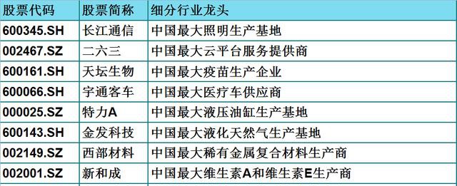 領軍者國內30家各領域龍頭企業名單一覽都是行業標杆