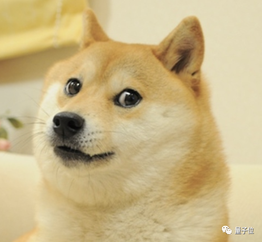 6024C782AE2256D6BAB2A5DCD4FE3E5AE6AEF742_size258_w536_h494.png