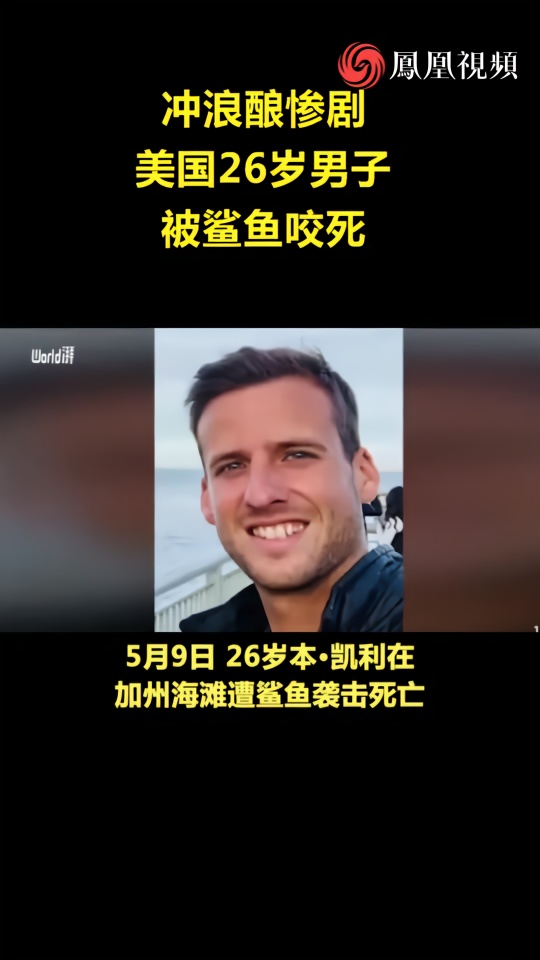 鲨鱼咬死人图片