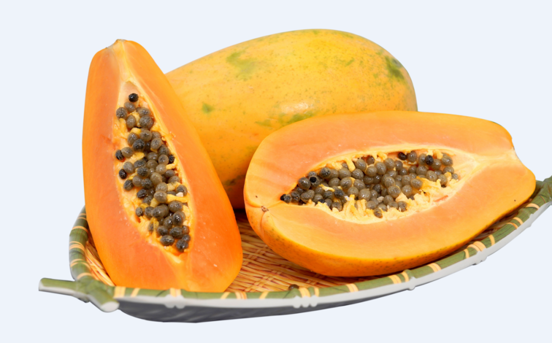 木瓜成熟了山西农谷南果北种试验成功