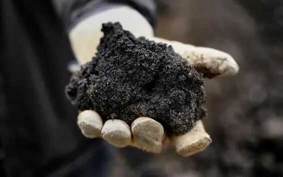 这叫油母质(kerogen),音译为干酪根,含有这种油母质的岩层即为烃源岩