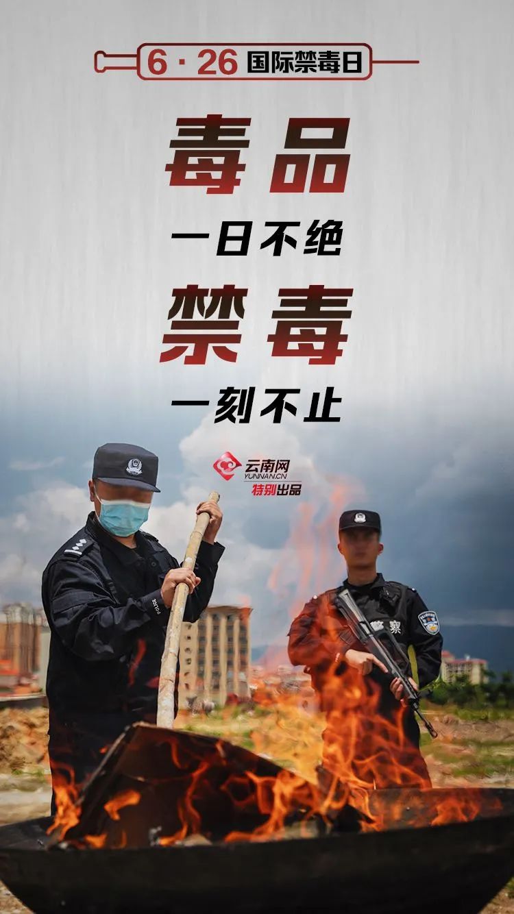 中国禁毒主战场云南毒品案件出现新趋势