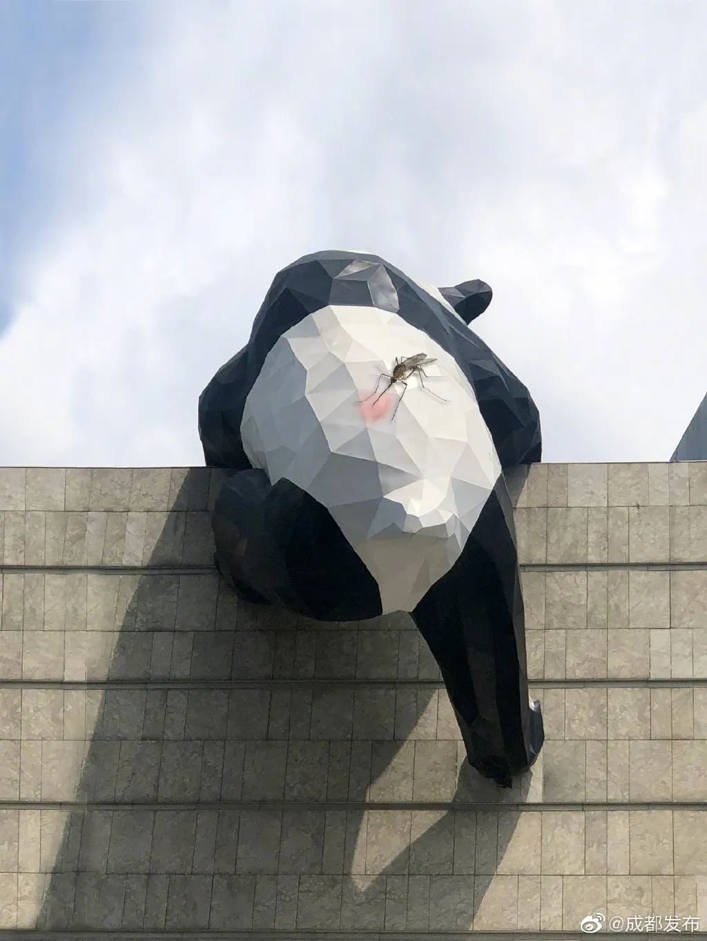 操碎了心听说成都春熙路那只爬墙熊猫掉漆了网友们出动了