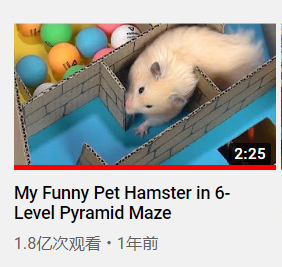 2亿播放量的 仓鼠走迷宫 成了youtube上的财富密码 凤凰网 2亿播放量的 仓鼠走迷宫 成了youtube上的财富密码 凤凰网