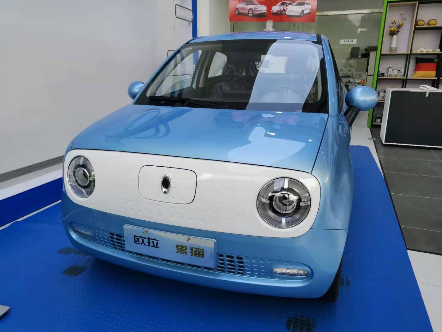 而是实实在在的汽车黑猫