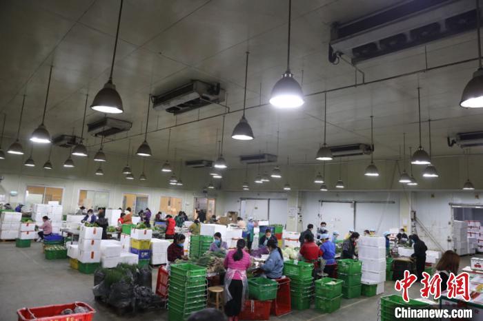 港澳台同胞驰援内地抗击疫情