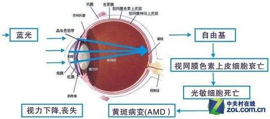 开启彩色阅读时代 1799元起海信A5 Pro CC版全面评测