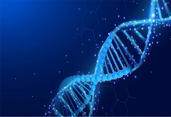 影响生物钟或有其它因素bmal1基因被删除人体仍能遵循昼夜节律