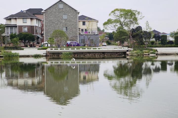 杭州双浦镇:乡村"龙潭"换新颜 串起美丽风景线