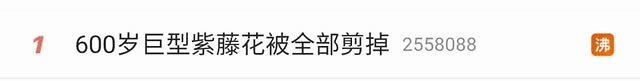 重庆40斤明星锦鲤被偷走吃掉：求求你们，别再伤害他们了​