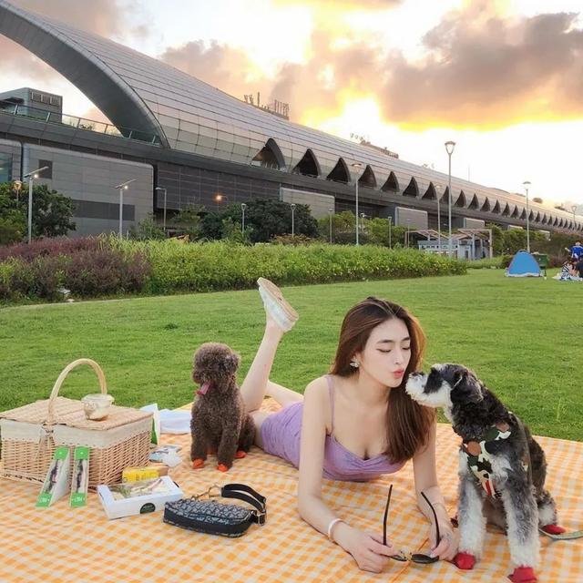 2020年港姐太好看了！全员颜值在线，我找到了下一个李嘉欣…