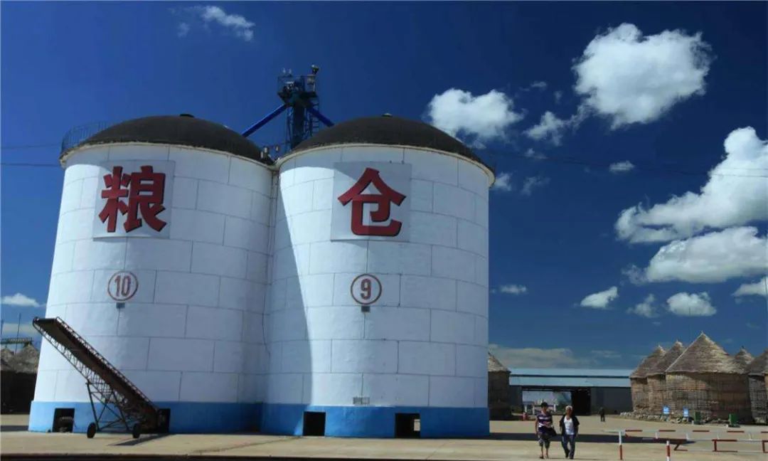 继越南之后,印度,柬埔寨等国也限制粮食出口,对我国有影响吗?