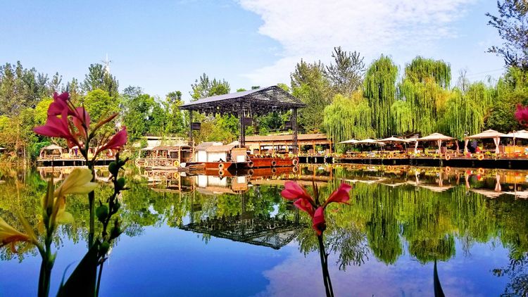 大忙人房车生活(384)醉南亚森林,玛歌庄园