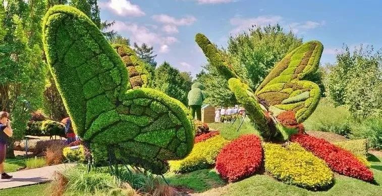 景观设计极具创意的植物雕塑