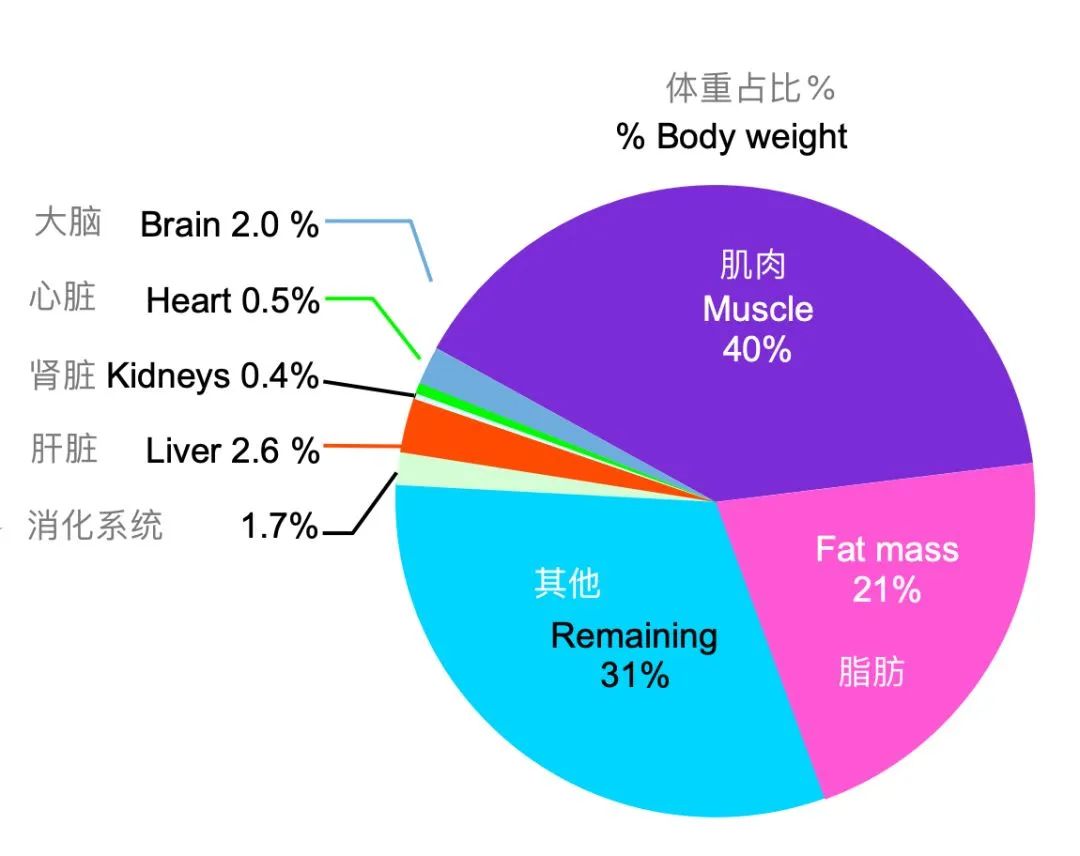 冬天怎样减肥_减肥冬天好还是夏天好_减肥冬天还是夏天减最有效果