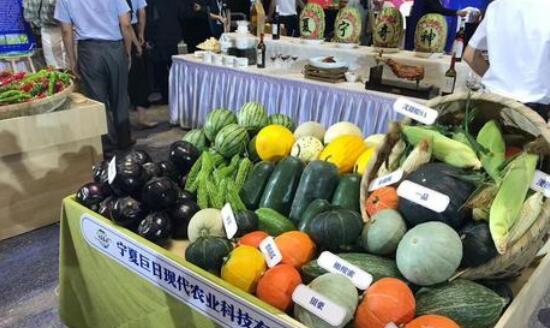 蔬菜|全国蔬菜销售商来宁签下10.86亿元订单