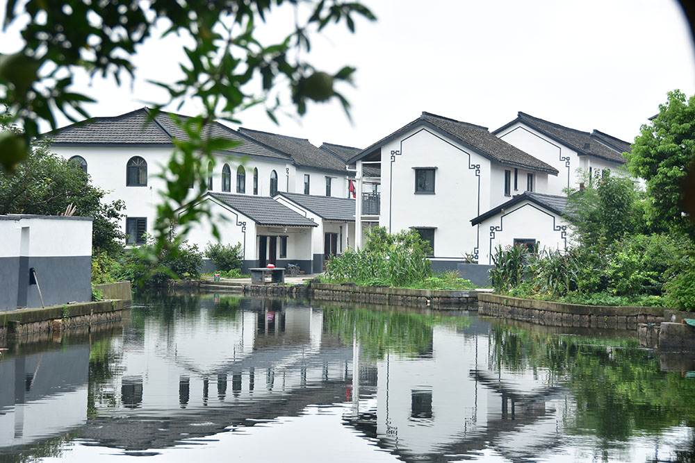 莲湖村