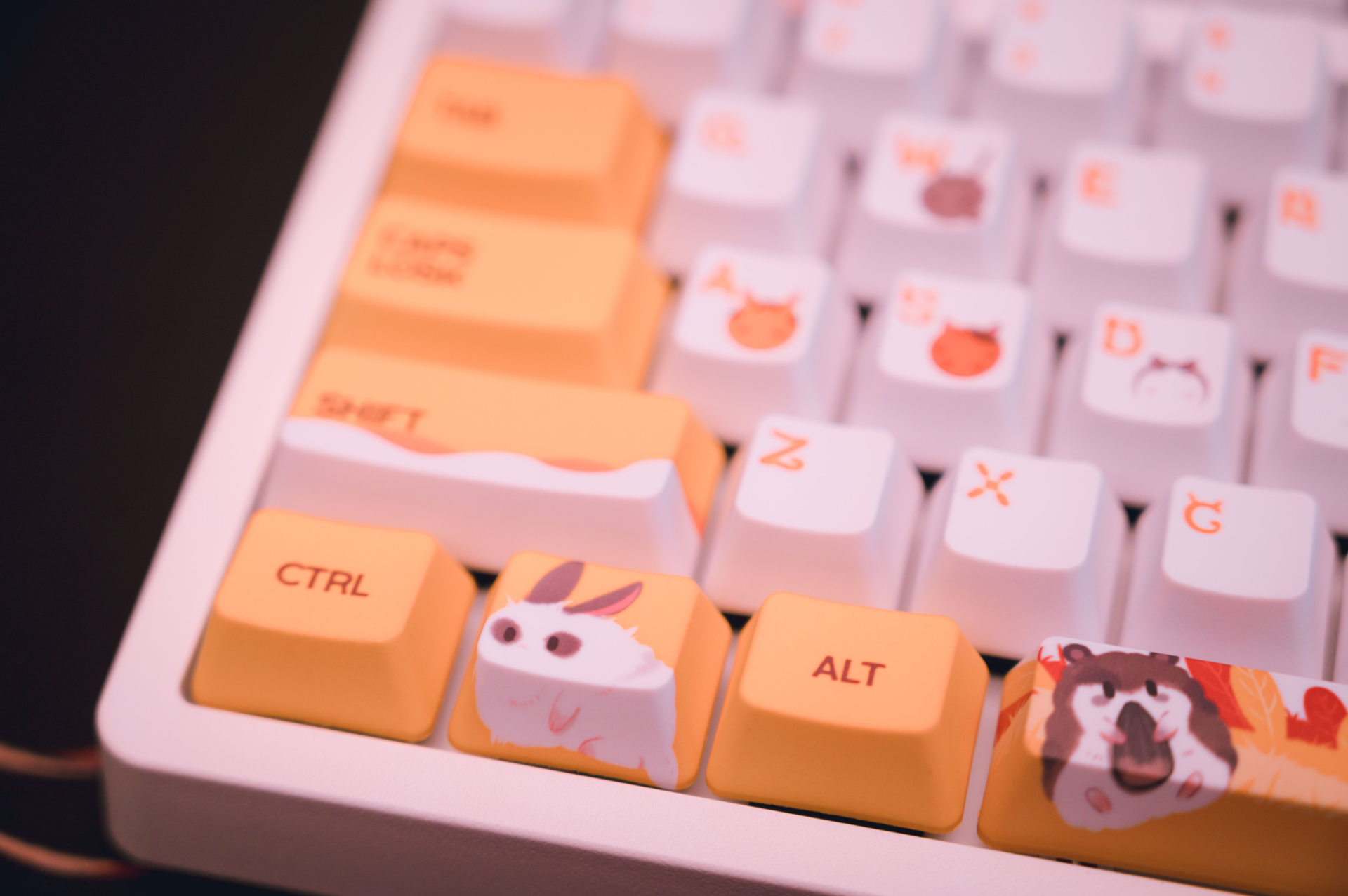 软萌毛茸茸,温暖软绵绵,初恋般的感觉黑爵机械键盘__凤凰网