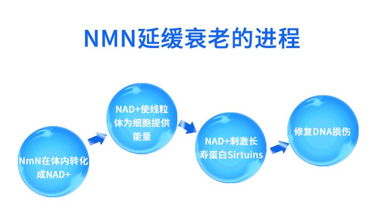 千亿资本注入NMN市场 金达威能否成为领头羊?