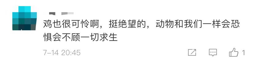 洪水中的“鸡坚强”上热搜,网友却笑不出来了…