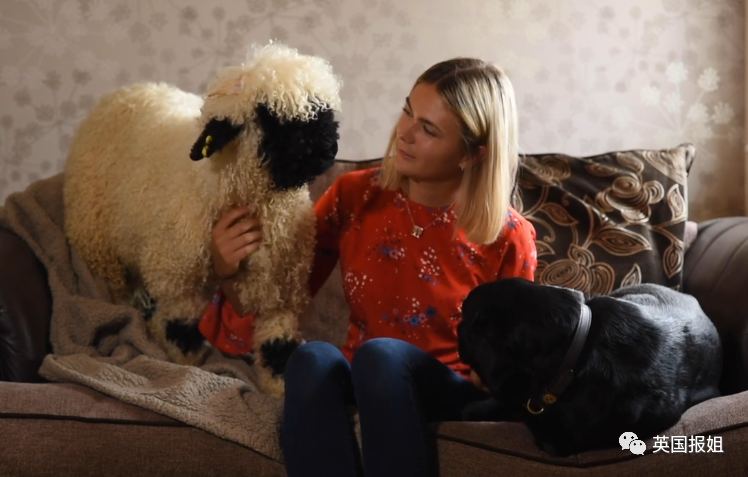 这种五官都看不清的山羊咋就被外国人高价争着养