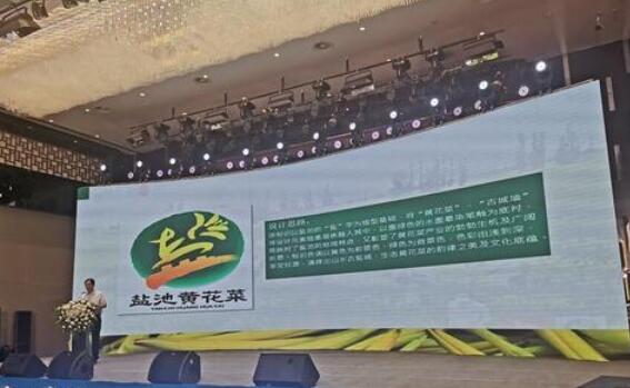 蔬菜|全国蔬菜销售商来宁签下10.86亿元订单