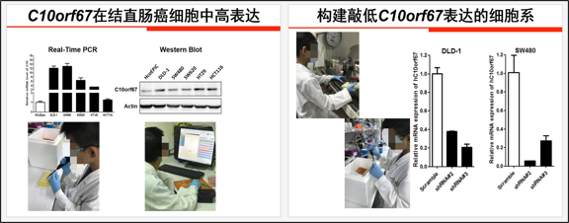 图源:全国青少年科技创新大赛官网