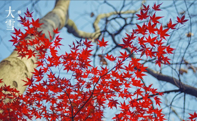 江浙沪皖秋季最值得去的十大景点