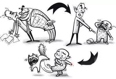 踢猫效应其实也可以反向思考