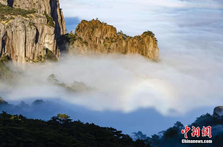 1月12日,安徽黃山風景區現大面積雲海和佛光景觀.