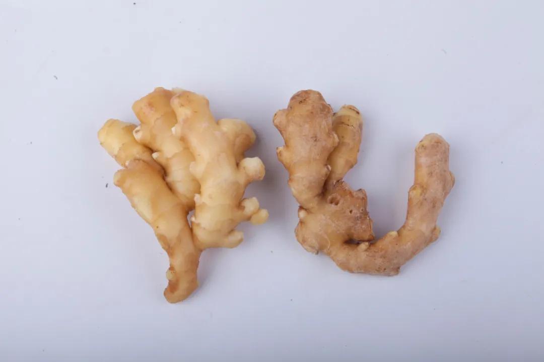 冬吃萝卜夏吃姜,姜的妙用超全总结