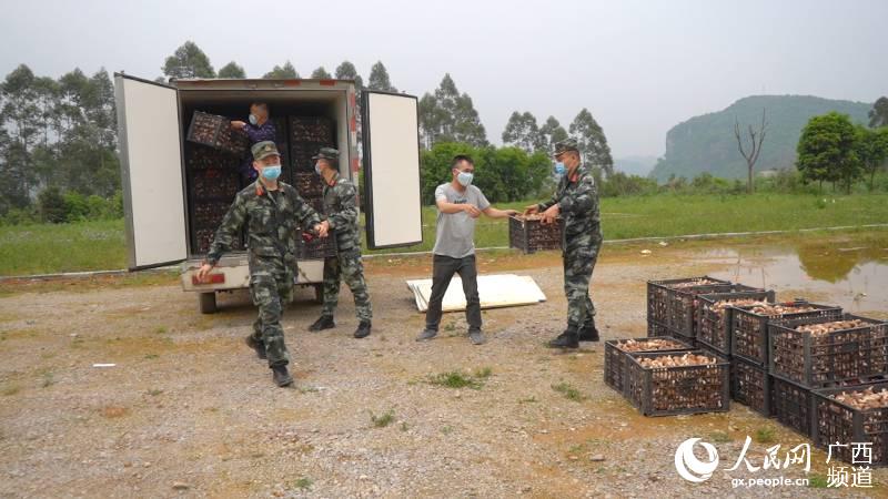 「柳州」广西柳州：武警官兵助力扶贫产业复工复产