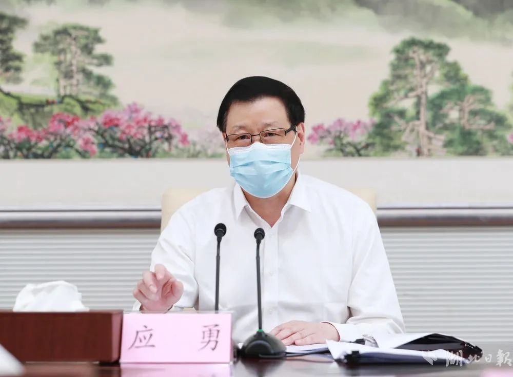 应勇当选为湖北省人大常委会主任