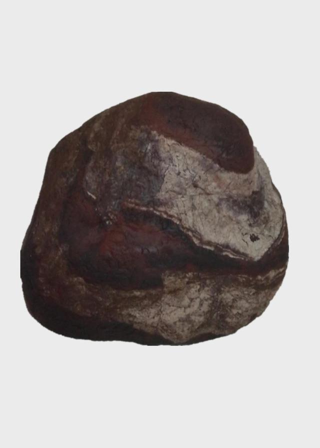 天外之物新宠-火星陨石